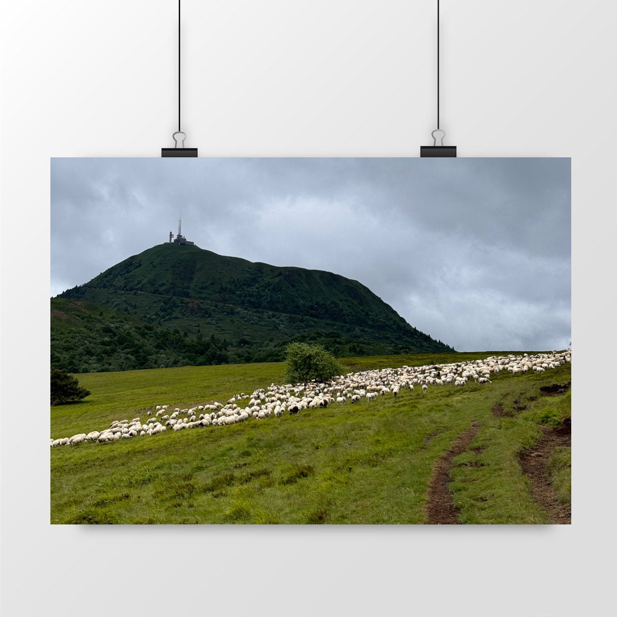 Les moutons du puy - paysage_2